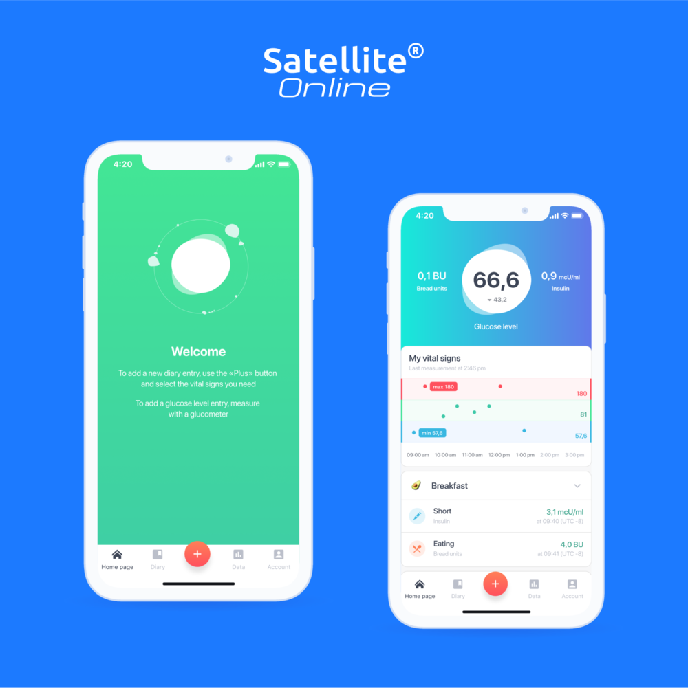 Satellite Online