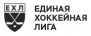 Единая Хоккейная Лига