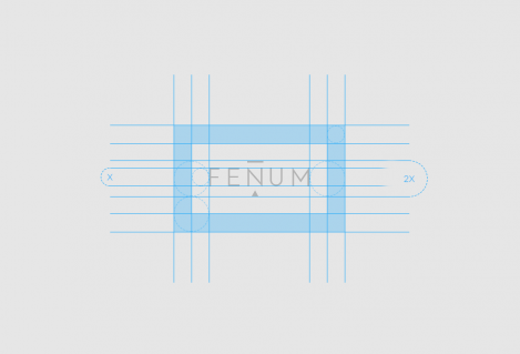 Фирменный стиль для FENUM